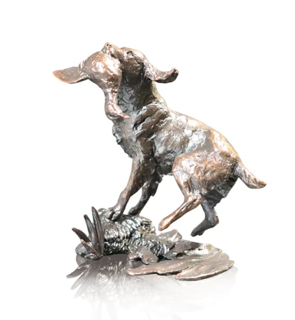 Springer Spaniel Retrieving