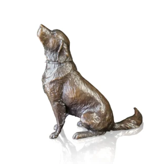 Retriever Sitting (Medium)
