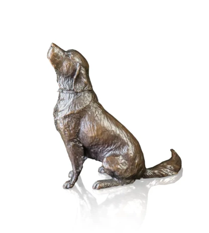 Retriever Sitting (Medium)