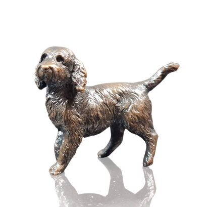 Cockapoo Standing