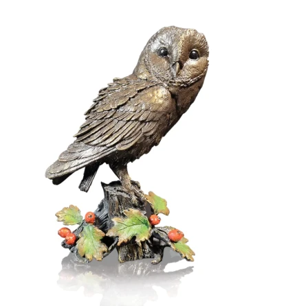 Barn Owl with Hawthorne