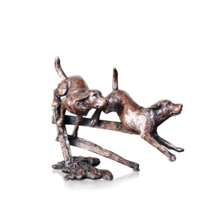Two Labradors Running