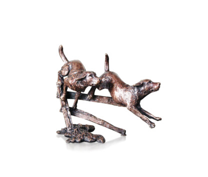 Two Labradors Running