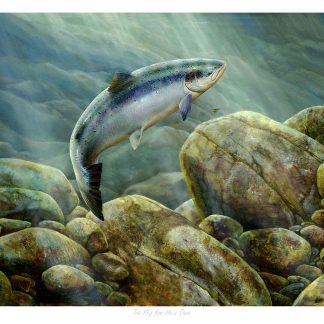 A vibrant artwork of a fish leaping above water among a bed of river stones. By Chris Sharp