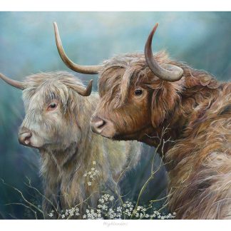 The image shows two Highland cattle with long horns and shaggy coats standing amidst vegetation. By Chris Sharp By Chris Sharp