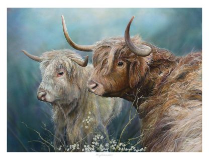 The image shows two Highland cattle with long horns and shaggy coats standing amidst vegetation. By Chris Sharp By Chris Sharp