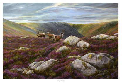 A painting of a group of deer on a moorland with purple heather and scattered rocks under a cloudy sky. By Chris Sharp