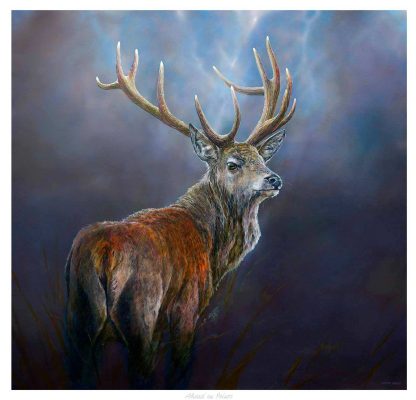 A majestic stag with prominent antlers stands amidst a foggy, muted background, looking to the side. By Chris Sharp