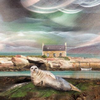 A seal rests on a rocky shore with a cottage, boat, and dramatic skies in the background. By Esther Cohen