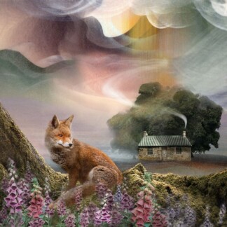 Image of Foxy Bothy by Esther Cohen