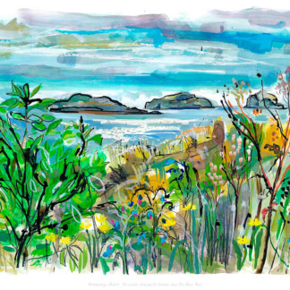 Yellowcraigs Beach, The Lamb, Craigleith Islands and The Bass Rock