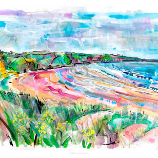 St Cyrus and Cowslips