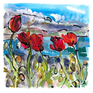 Poppies
