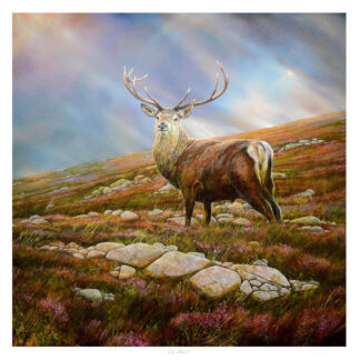 A majestic stag stands on a grassy hillside with rocks under a cloudy sky. By Chris Sharp