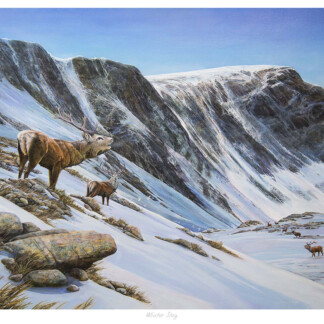 Winter Stag
