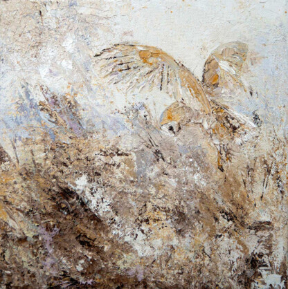 Barn Owl