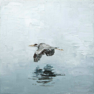 Heron over still waters