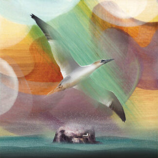 A seagull in flight over a rocky outcrop with abstract colorful shapes and textures in the background. By Esther Cohen