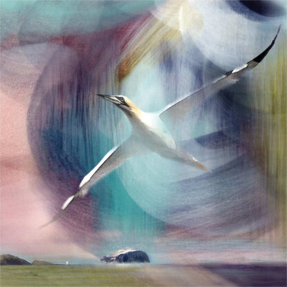 A painting of a gliding seabird against a colorful, abstract background with two small islands near the horizon. By Esther Cohen