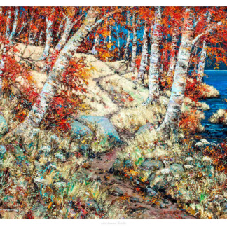 Loch Lomond Birches