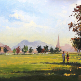 Summertime at the Meadows