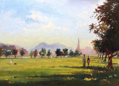 Summertime at the Meadows
