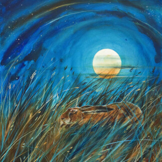 Resting in the Moonlight