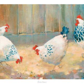 Bantams