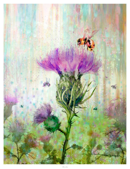 Thistle