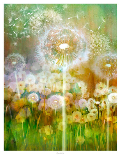 Dandelion