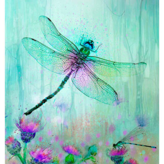 Dragonfly and Thistle