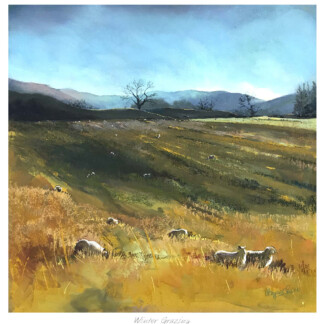 Winter Grazing