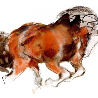 Image of A Path Unseen by Diana Hand