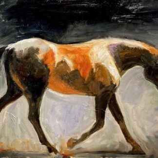 Image of Leo's Soft Steps by Diana Hand