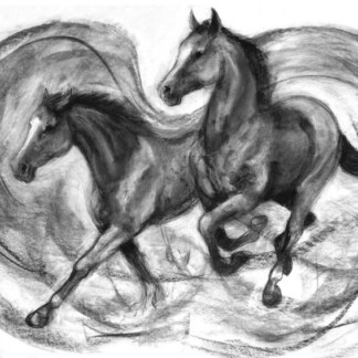 Image of Momentum by Diana Hand