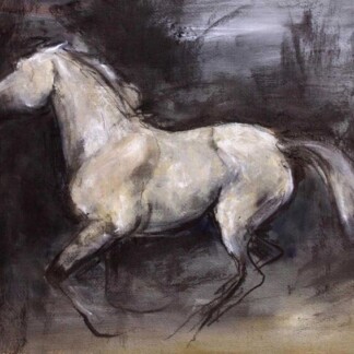 Image of Silver Beauty by Diana Hand