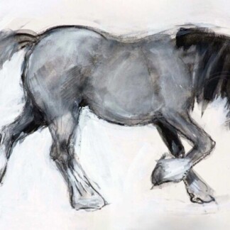 Image of The Gentle Walk by Diana Hand