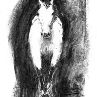 Image of Unstoppable Approach by Diana Hand