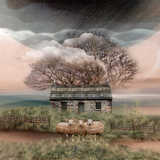 Image of Sea Grass Bothy by Esther Cohen