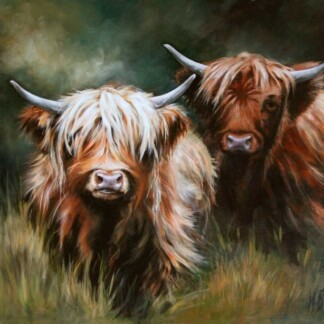 Image of The Yearling Heifers Caotunn and Baravalla Mina by Hillary Barker