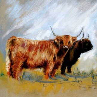 Image of Two Highland Cows by Hillary Barker