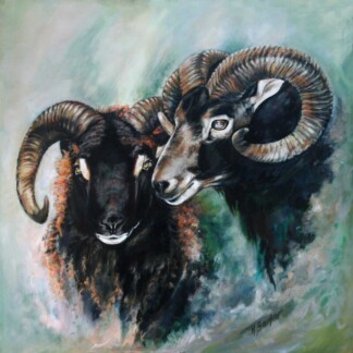 Image of Soay Rams by Hillary Barker