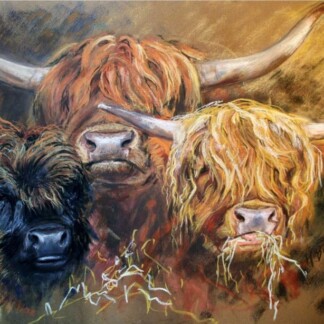 Image of The Three Princesses by Hillary Barker