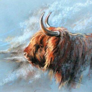 Image of Milis by Hillary Barker