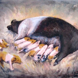 Image of Piggies by Hillary Barker