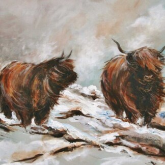 Image of Enjoying the January Snows by Hillary Barker