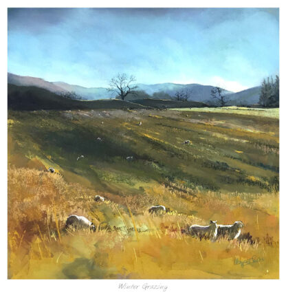 A pastoral landscape painting depicting sheep grazing in a field with mountains in the background and the title 'Winter Grazing' at the bottom. By Margaret Evans