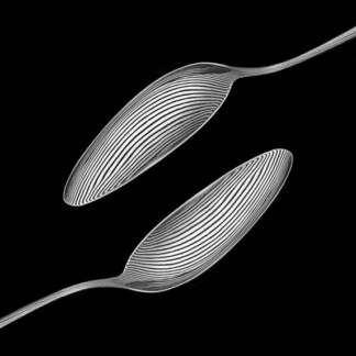 Image of Oyster by Noel Fenech Photography