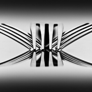 Image of Papillon by Noel Fenech Photography