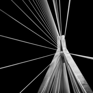 Image of Rio by Noel Fenech Photography